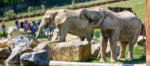 ZOO Lešná